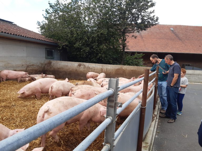Grüne Welver informieren sich über neue Wege in der Schweinemast