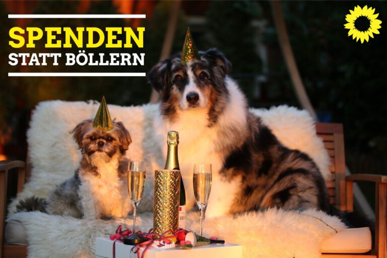 SPENDEN STATT BÖLLERN!