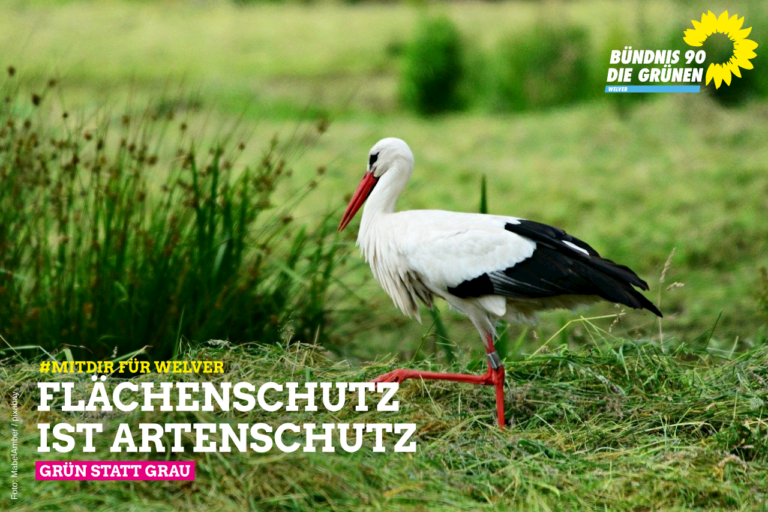 Flächenfraß in Welver stoppen – Grün statt Grau!
