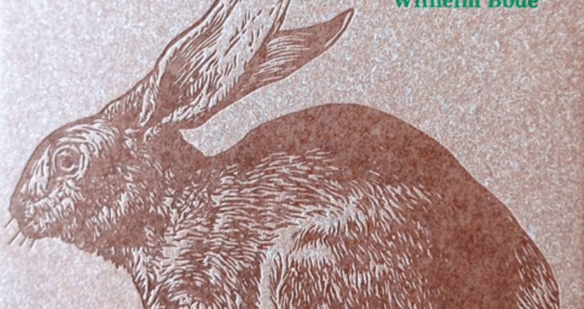 Buchcover "Hasen" von Wilhelm Bode