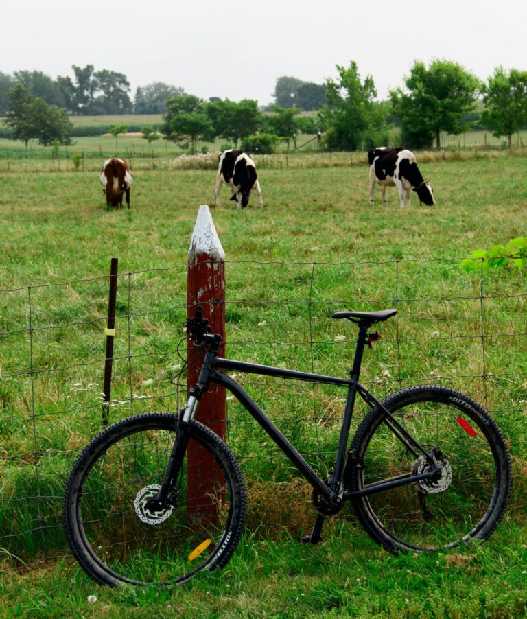 Sichere Radwege zwischen den Ortsteilen