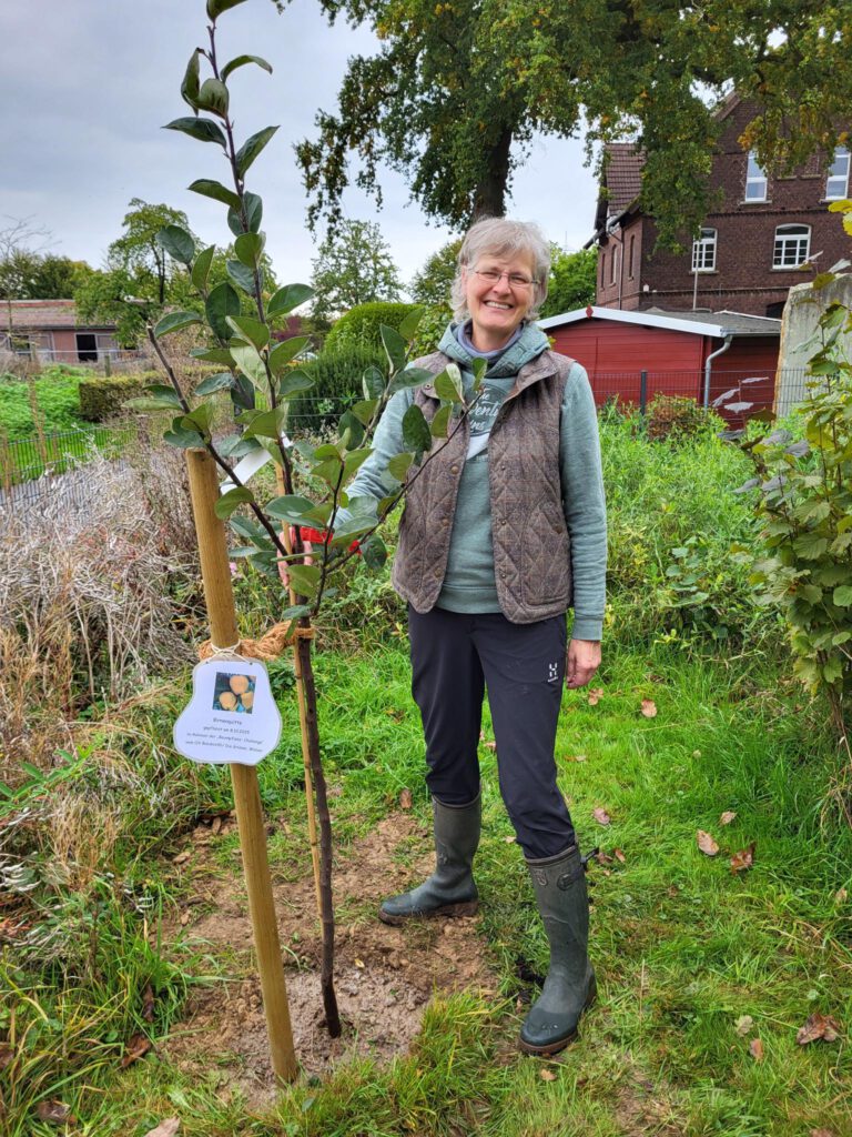 Baumchallenge 2025 – Wir haben heute in Merklingsen eine Birnenquitte gepflanzt. 🌳