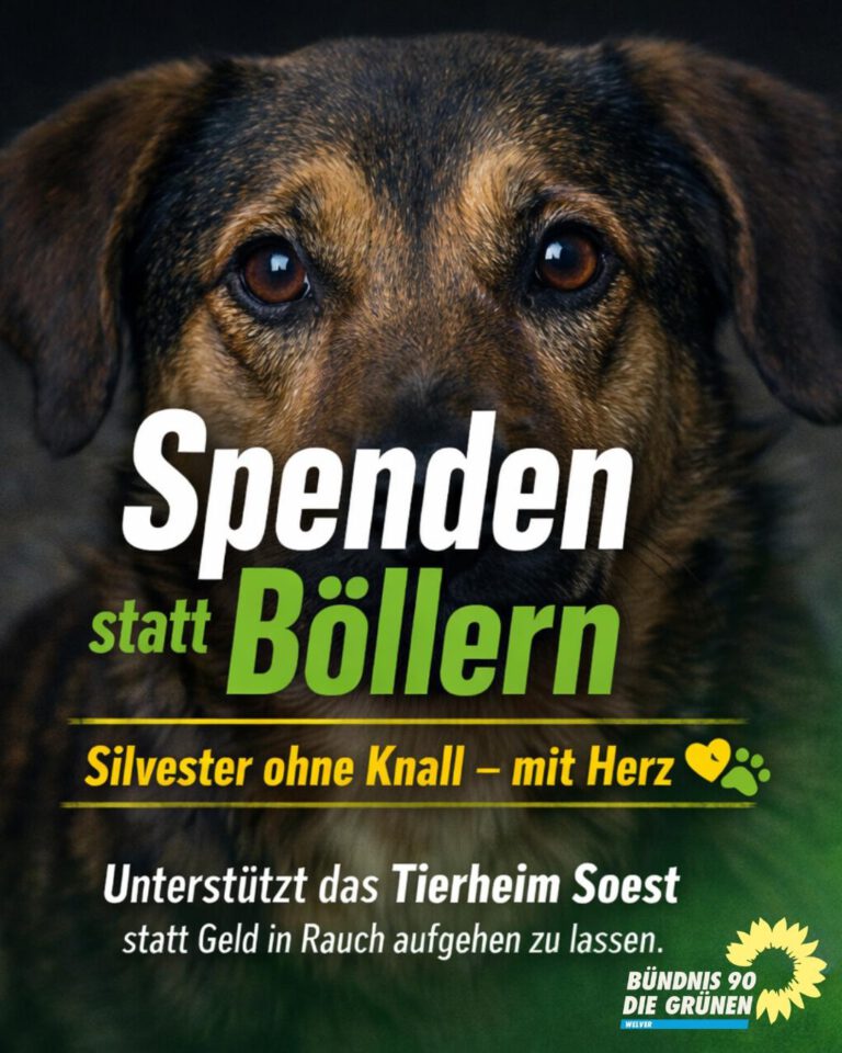 SPENDEN STATT BÖLLERN!
